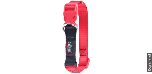 Collare robusto per cani grandi regolabile 44-68cm larghezza 2cm bicolore - Suntime Moda