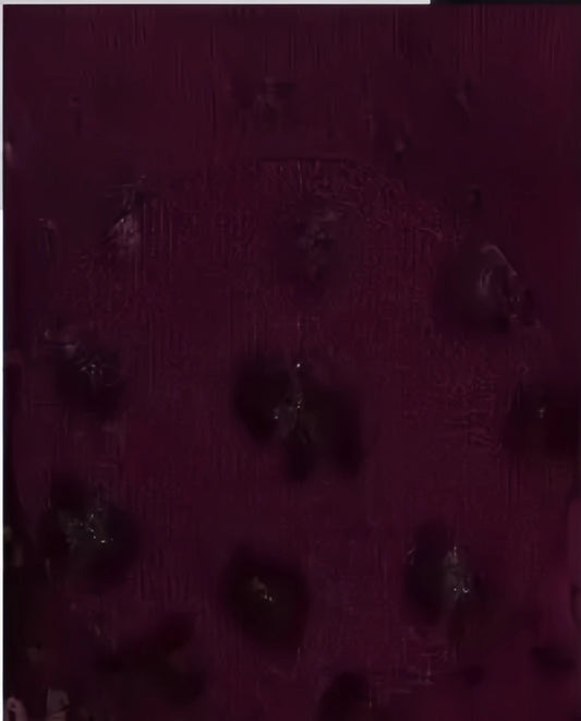 Maglia maniche lunghe con stampa Leopardata - SUNTIMEMODA